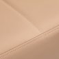 Gabbiano Head Spa 017B Hair Washing Bed Beige