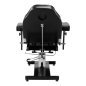 Professionele hydraulische tattoo stoel Pro Ink 210DH zwart met wiegfunctie voor salon, studio en specialistisch gebruik Professionele hydraulische tattoo stoel Pro Ink 210DH zwart met wiegfunctie voor salon, studio en specialistisch gebruik