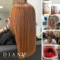 Zestaw HairBotox Terapia włosów 500ml Organic, 500ml Pearl, 500ml Platinum, 500ml Golden Zestaw HairBotox Terapia włosów 500ml Organic, 500ml Pearl, 500ml Platinum, 500ml Golden