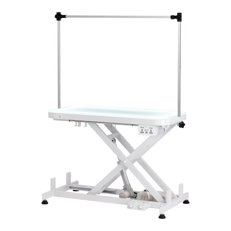 Electric grooming table PAW 3 with lighting, white