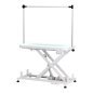 Electric grooming table PAW 3 with lighting, white