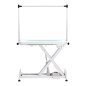 Electric grooming table PAW 3 with lighting, white
