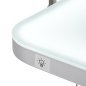 Elektrische trimtafel PAW 3 met verlichting, wit, voor professionele hondentrimsalons en ergonomische vachtverzorging