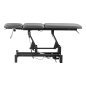 Electric Rehabilitation Table for Massage and Physiotherapy Balance Eso 5 grey