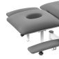 Electric Rehabilitation Table for Massage and Physiotherapy Balance Eso Pro grey