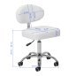 Cosmetic stool Giovanni Y08 white
