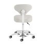 Professionele cosmetische werkkruk Azzurro 156-F bump-up grijs met verstelbare rugleuning voor salon en praktijk