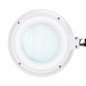 Loepelamp Elegante 6031 wit met 60 SMD LEDs, 3 dioptrie, 2 helderheidsniveaus en tafelmontage voor precisiewerk