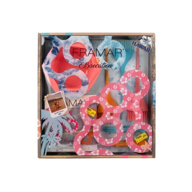 Framar Colorist Kit Beacation – professionele kleurset met folies, borstels, clips & mengkommen 4