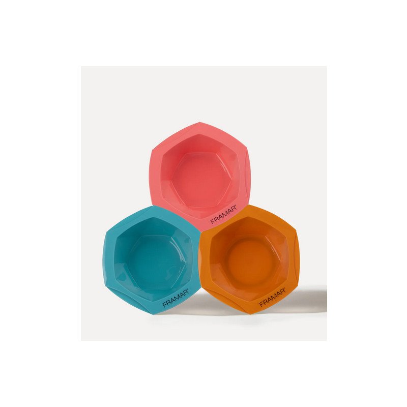 Framar Colorist Kit Beacation – professionele kleurset met folies, borstels, clips & mengkommen