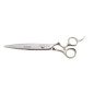 Kyone 730 Ciseaux de Coiffure Professionnels Argent 7,0" – Ergonomiques, Convexes & Creux Kyone 730 Ciseaux de Coiffure Professionnels Argent 7,0" – Ergonomiques, Convexes & Creux