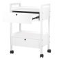 Professionele werktafel Giovanni Beauty Type 1019 voor salon en behandelruimte, wit, afsluitbare lades, 55,5 x 37 x 82 cm Professionele werktafel Giovanni Beauty Type 1019 voor salon en behandelruimte, wit, afsluitbare lades, 55,5 x 37 x 82 cm