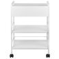 Professionele werktafel Giovanni Beauty Type 1019A wit met afsluitbare lade, legplanken en wielen voor schoonheidssalon Professionele werktafel Giovanni Beauty Type 1019A wit met afsluitbare lade, legplanken en wielen voor schoonheidssalon