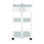 Professionele werktafel Giovanni Beauty Type 1040A met lade en glazen legplanken voor schoonheidssalon en nagelstudio