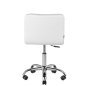 Professionele cosmetische stoel A-5299 wit met hoogteverstelling en rubberen wielen voor beauty, manicure en pedicure Professionele cosmetische stoel A-5299 wit met hoogteverstelling en rubberen wielen voor beauty, manicure en pedicure