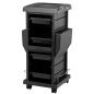 Professionele kappers trolley Gabbiano 100C zwart met 2 rolluiken, 4 trays en 15 vakken voor organisatie in de salon