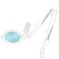 Professionele LED-loeplamp GLOW Moonlight 8012/5 wit voor tafelblad, manicure, pedicure en cosmetische behandelingen Professionele LED-loeplamp GLOW Moonlight 8012/5 wit voor tafelblad, manicure, pedicure en cosmetische behandelingen