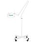 Professionele loeplamp S4 met LED en statief, 5 dioptrieën, 24 W, voor salon, manicure, pedicure en permanente make-up