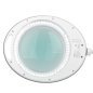 Professionele LED-loeplamp Elegante 6014 60 5D SMD voor tafelblad, manicure, pedicure en salonwerk Professionele LED-loeplamp Elegante 6014 60 5D SMD voor tafelblad, manicure, pedicure en salonwerk