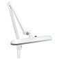 LED-werklamp met klem Elegante 801-L, wit, met intensiteitsregeling voor beautybehandelingen en nauwkeurige werkplekverlichting