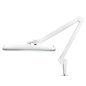 LED-werklamp met klem Elegante 801-TL met kleur- en intensiteitsregeling voor salons en nauwkeurig detailwerk LED-werklamp met klem Elegante 801-TL met kleur- en intensiteitsregeling voor salons en nauwkeurig detailwerk