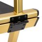 Make-upstoel van aluminium in goud voor professionele saloninrichting en comfortabel werken tijdens make-upbehandelingen Make-upstoel van aluminium in goud voor professionele saloninrichting en comfortabel werken tijdens make-upbehandelingen