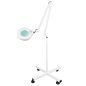 S4 LED magnifier lamp + LED tripod reg. light intensity