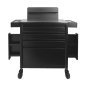 Professionele tattoo-trolley Pro Ink 701 zwart voor georganiseerde werkplekken en comfortabel werken in de tattoostudio Professionele tattoo-trolley Pro Ink 701 zwart voor georganiseerde werkplekken en comfortabel werken in de tattoostudio