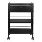 Professionele tattoo trolley Pro Ink 1019A zwart voor overzichtelijke werkplekorganisatie en klantcomfort in de tattoostudio Professionele tattoo trolley Pro Ink 1019A zwart voor overzichtelijke werkplekorganisatie en klantcomfort in de tattoostudio