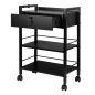 Professionele tattoo trolley Pro Ink 1019A zwart voor overzichtelijke werkplekorganisatie en klantcomfort in de tattoostudio Professionele tattoo trolley Pro Ink 1019A zwart voor overzichtelijke werkplekorganisatie en klantcomfort in de tattoostudio