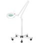 LED-loeplamp met statief S5 met regelbare lichtintensiteit voor wimperstyling, make-up, manicure en salonwerk