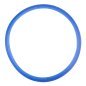 Lafomed silicone gasket for autoclaves 18l and 23l