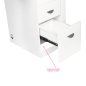 Professionele manicuretafel model 310 wit met rechter stofafzuiging en lakrek voor schoonheidssalon voor professioneel gebruik Professionele manicuretafel model 310 wit met rechter stofafzuiging en lakrek voor schoonheidssalon voor professioneel gebruik
