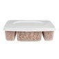 Houten harsspatels in diverse maten, 400 stuks voor praktisch gebruik bij professionele ontharing en beautybehandelingen in de Houten harsspatels in diverse maten, 400 stuks voor praktisch gebruik bij professionele ontharing en beautybehandelingen in de