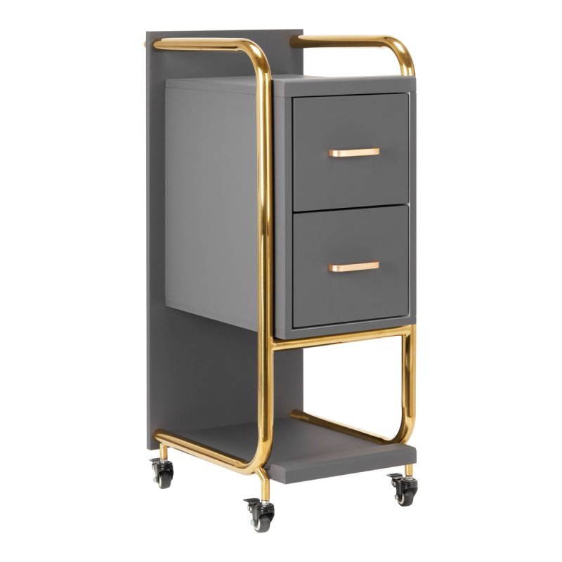 Kappers trolley Gabbiano Solo goud-grijs met laden en legplanken voor professionele organisatie en mobiel salonwerk Kappers trolley Gabbiano Solo goud-grijs met laden en legplanken voor professionele organisatie en mobiel salonwerk