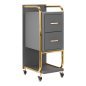 Kappers trolley Gabbiano Solo goud-grijs met laden en legplanken voor professionele organisatie en mobiel salonwerk Kappers trolley Gabbiano Solo goud-grijs met laden en legplanken voor professionele organisatie en mobiel salonwerk