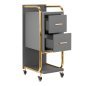 Kappers trolley Gabbiano Solo goud-grijs met laden en legplanken voor professionele organisatie en mobiel salonwerk Kappers trolley Gabbiano Solo goud-grijs met laden en legplanken voor professionele organisatie en mobiel salonwerk