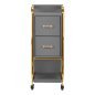 Kappers trolley Gabbiano Solo goud-grijs met laden en legplanken voor professionele organisatie en mobiel salonwerk Kappers trolley Gabbiano Solo goud-grijs met laden en legplanken voor professionele organisatie en mobiel salonwerk