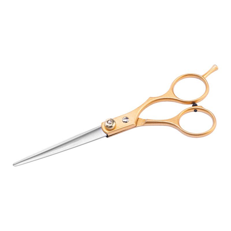 Professionele kappersschaar Snippex goud 6.0 voor knippen, professioneel kapperswerk en salonbehandelingen