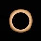 SNAKE RING LED LAMP LAMP ON A DESK BLACK