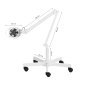 Stofafzuiger voor pedicure op pantograaf Momo 6606, 20 W, 12 cm, voor hygiënisch en comfortabel salon- en praktijkwerk Stofafzuiger voor pedicure op pantograaf Momo 6606, 20 W, 12 cm, voor hygiënisch en comfortabel salon- en praktijkwerk