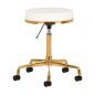 Cosmetische kruk H4 wit-goud voor salon, praktijk, comfortabele ergonomische zitoplossing voor dagelijks gebruik Cosmetische kruk H4 wit-goud voor salon, praktijk, comfortabele ergonomische zitoplossing voor dagelijks gebruik
