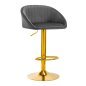 Barstoel van grijs fluweel 4RICO QS-B16G met verstelbare hoogte en ergonomische zitting voor professioneel salongebruik Barstoel van grijs fluweel 4RICO QS-B16G met verstelbare hoogte en ergonomische zitting voor professioneel salongebruik