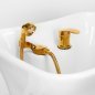 GABBIANO HAIR WASH UNIT EMMA BLACK GOLD GABBIANO HAIR WASH UNIT EMMA BLACK GOLD