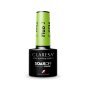 Gellak Fluo 2 Claresa 5 g voor manicure en pedicure met neon-effect en glans voor salonstyling en thuisgebruik Gellak Fluo 2 Claresa 5 g voor manicure en pedicure met neon-effect en glans voor salonstyling en thuisgebruik